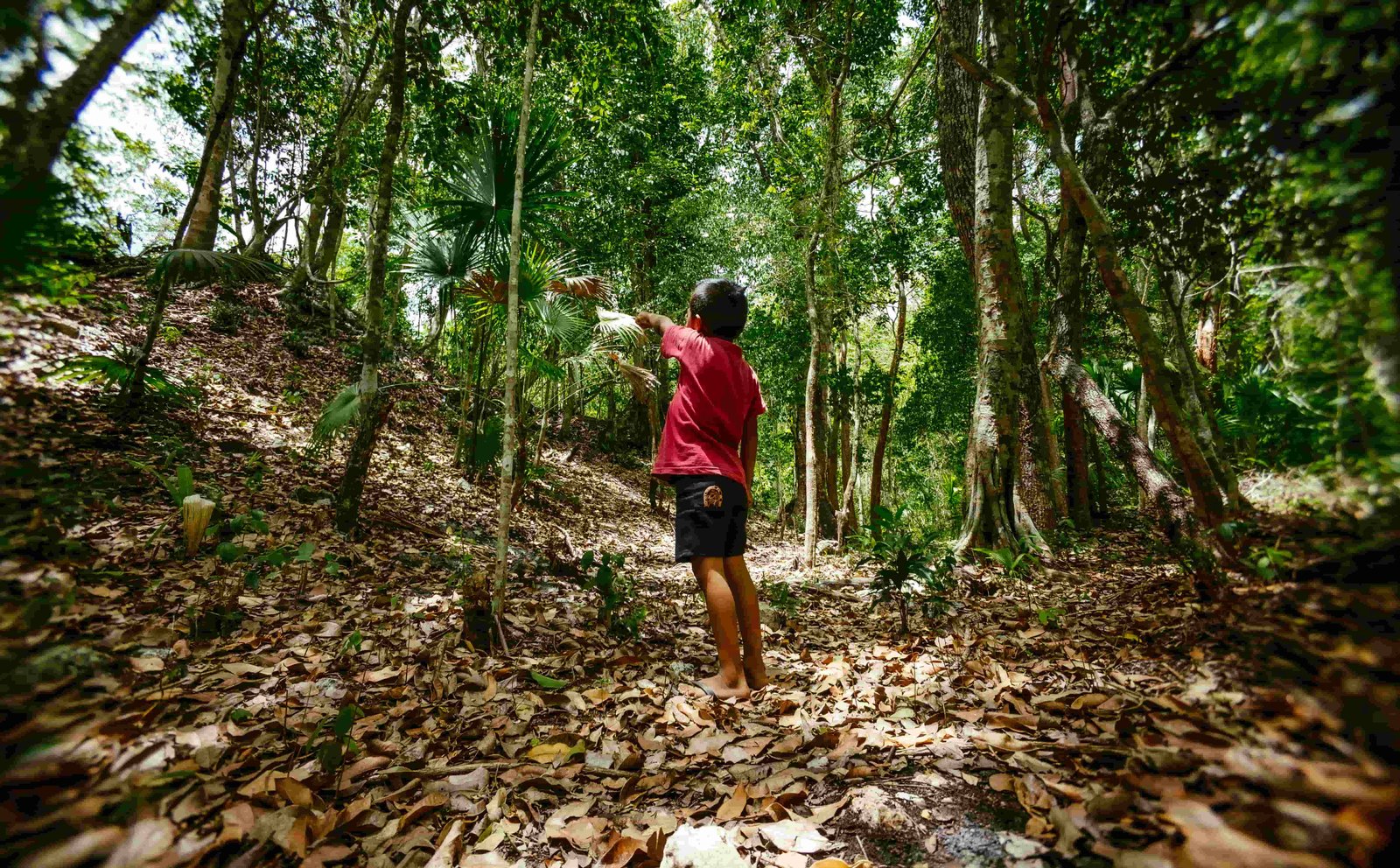 Niño maya explorando la selva, representando la conexión con la naturaleza de Kuntal Che