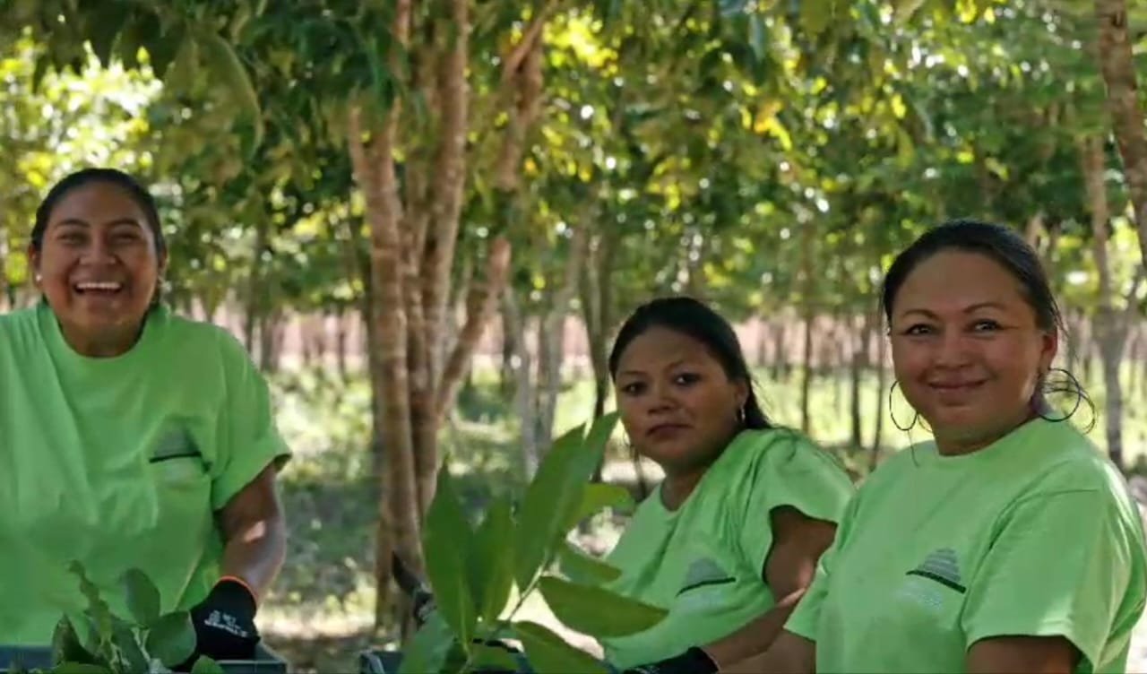 Imagen de Kuntal Che 2